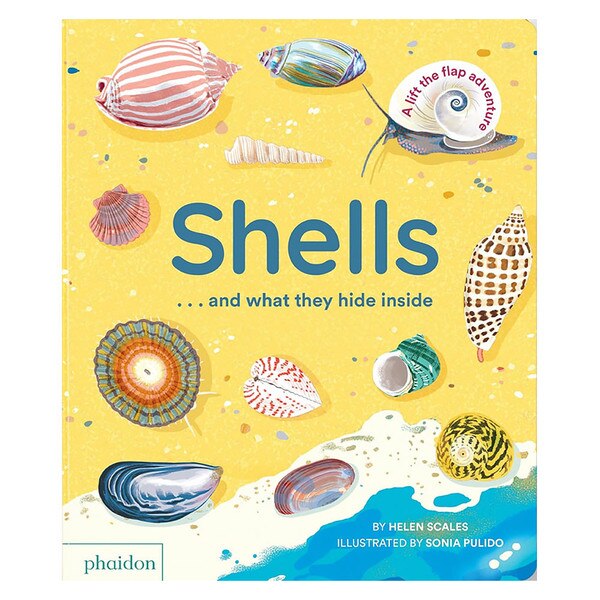 Shells and What They Hide Inside